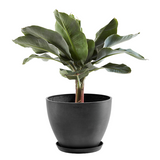 Donica Antwerp antracyt