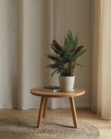 Adrianna z Nikaragui