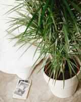 Michał z Madagaskaru XXL