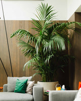 Lena z Australii 4XL