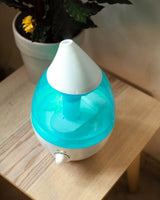 Nawilżacz powietrza do roślin