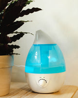 Nawilżacz powietrza do roślin