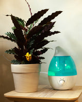 Nawilżacz powietrza do roślin