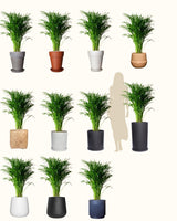 Natalia z Madagaskaru XL