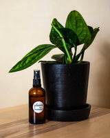 Olejek neem