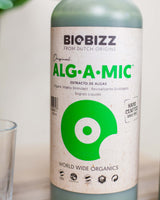 Alg-A-Mic: na witalność