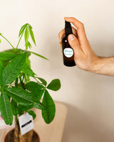 Olejek neem