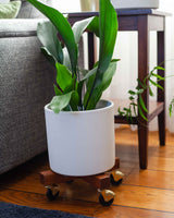 Stojak z drewna egzotycznego na kółkach krzyżak