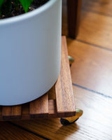 Stojak z drewna egzotycznego na kółkach