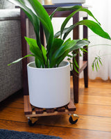 Stojak z drewna egzotycznego na kółkach