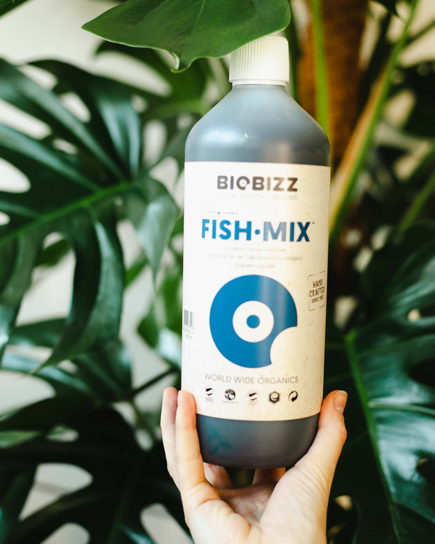 Fish Mix: na poprawę jakości podłoża