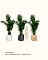 Lena z Australii 4XL